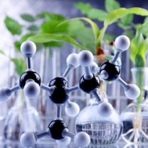 Perkembangan Bioteknologi