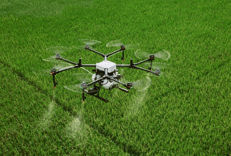 RNI Sebut Digitalisasi Sektor Pangan Diperlukan untuk Menurunkan Biaya Produksi